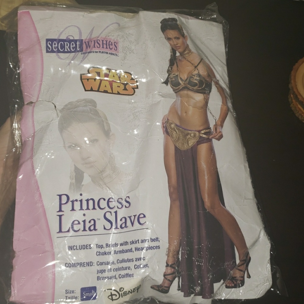 Princess Leia Slave costume